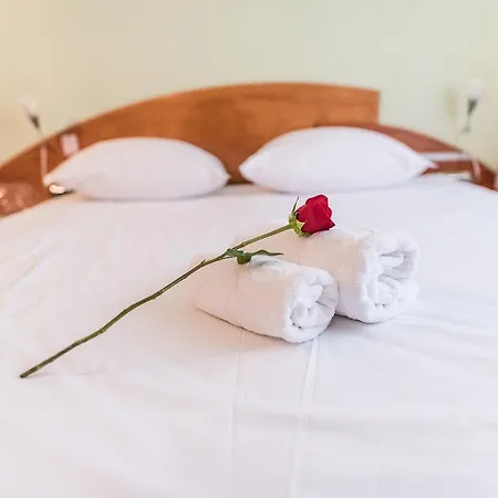 بارك فندق بيهاتش